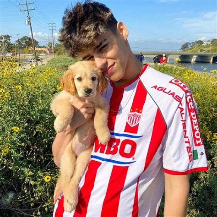 Andrew Davila Pets