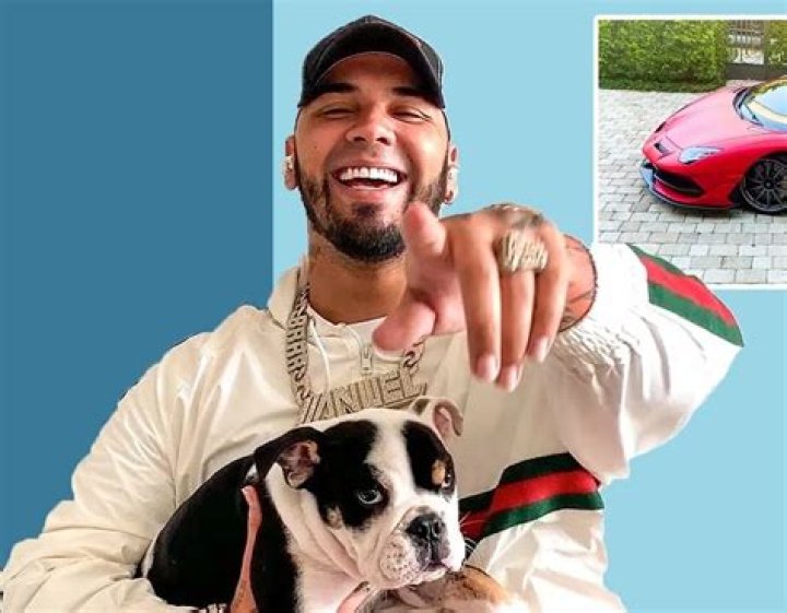 Anuel AA Pets