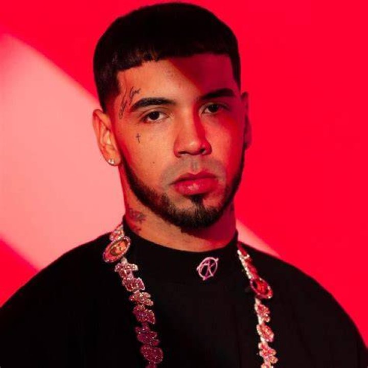 Anuel AA's pet Pomeranian