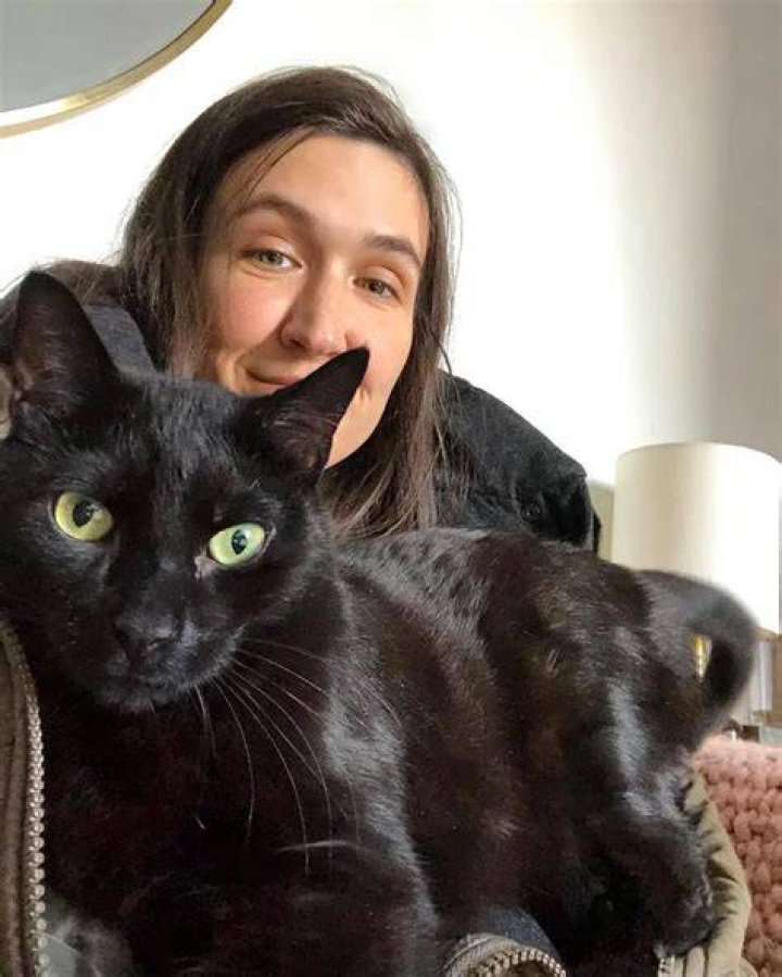 Ashley Gavin Pets