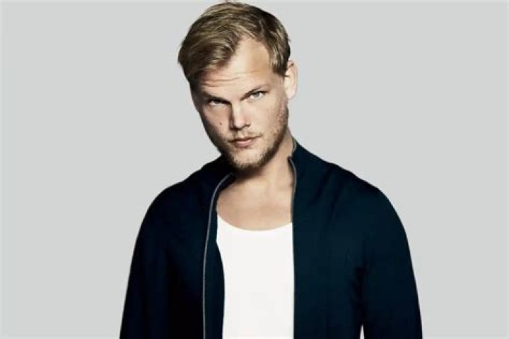 Avicii Bio (Wiki) 
