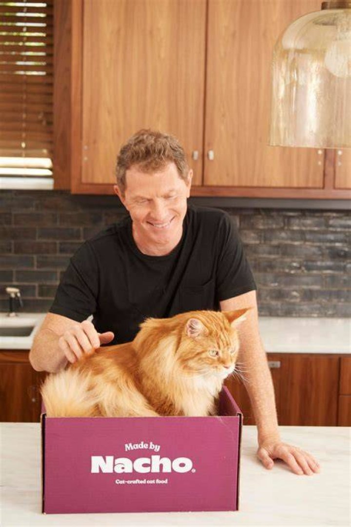 Chef Bobby Flay’s Cat Nacho Has Passed Away