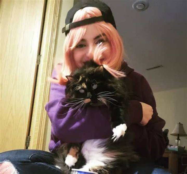 CypherDen Pets