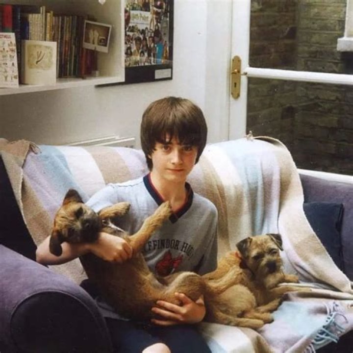 Daniel Radcliffe Pets