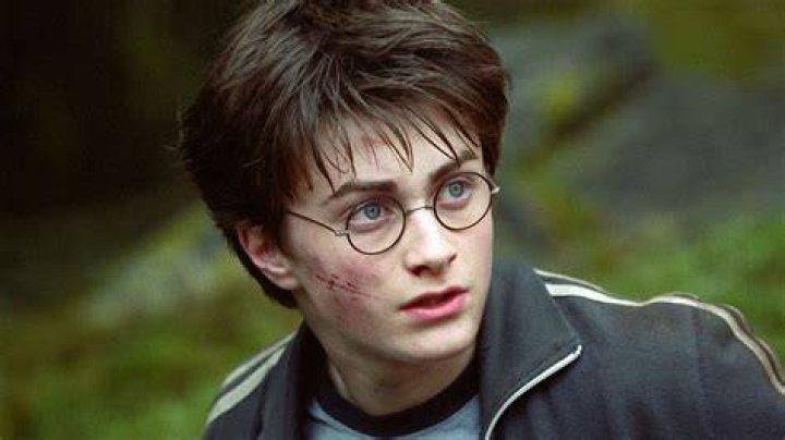 Daniel Radcliffe's pet Binka and Nugget