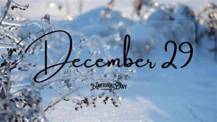 December 29 Birthdays By Profession