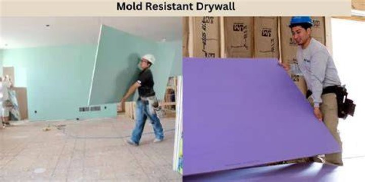 Do I need mold resistant drywall in basement?