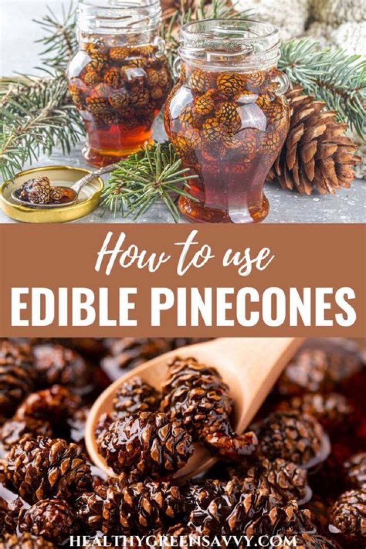 Do mice eat pine cones?