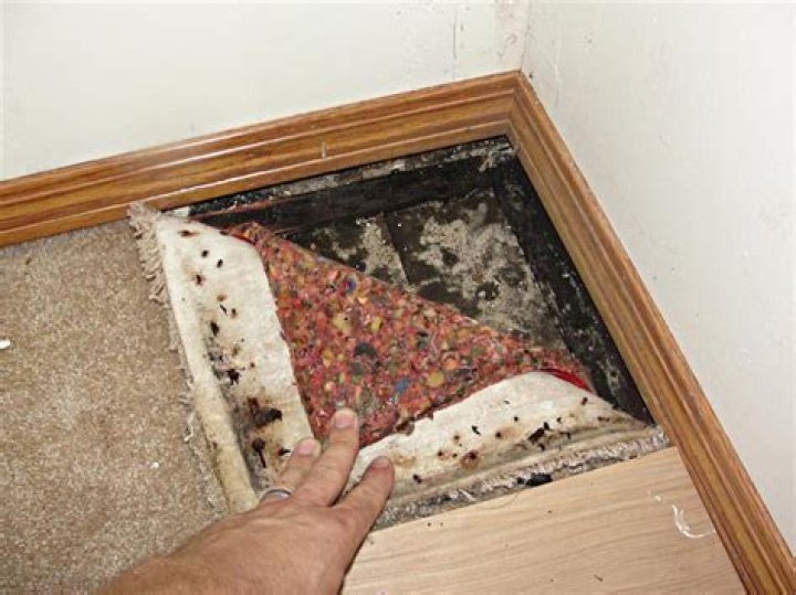 Does foam carpet underlay contain asbestos?