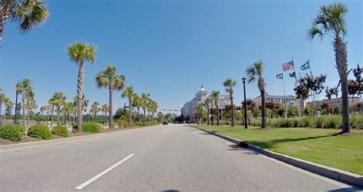Does Myrtle Beach have palm trees?