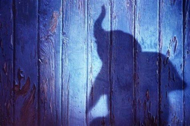Dumbo - Cast, Ages, Trivia