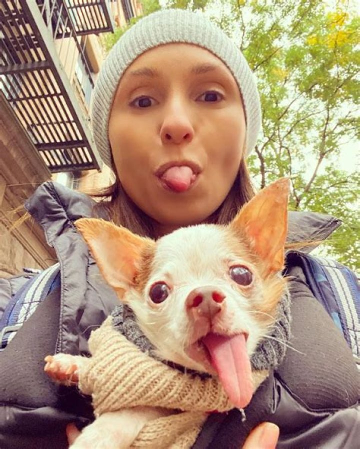 Georgina Bloomberg Pets