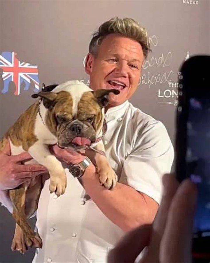 Gordon Ramsay Pets