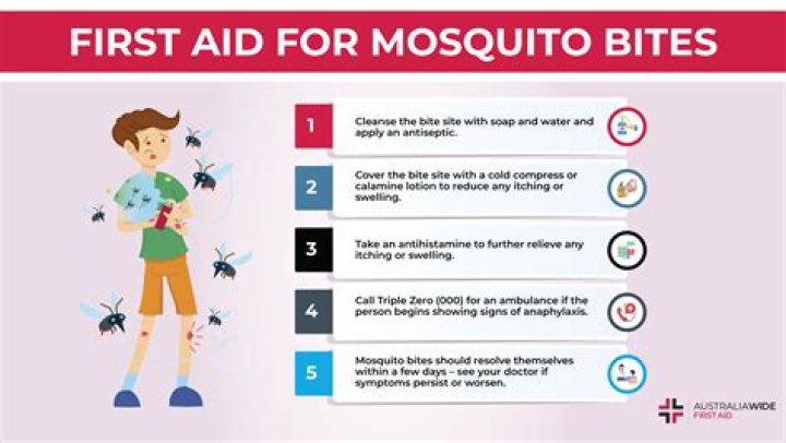 How do mosquito clickers work?