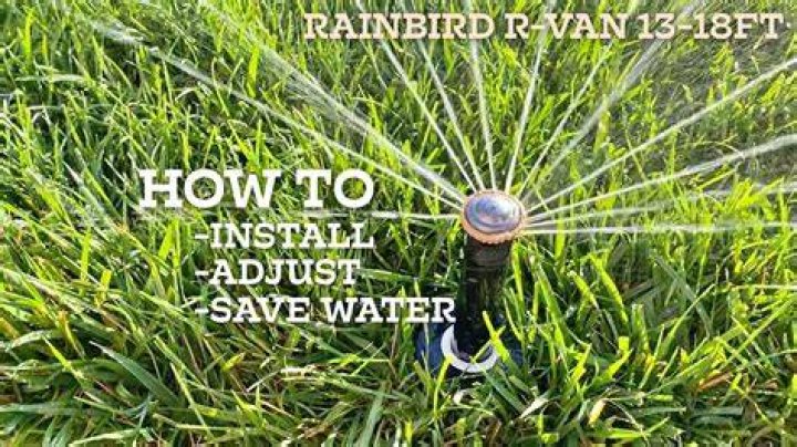 How do you install a Rainbird sprinkler head?