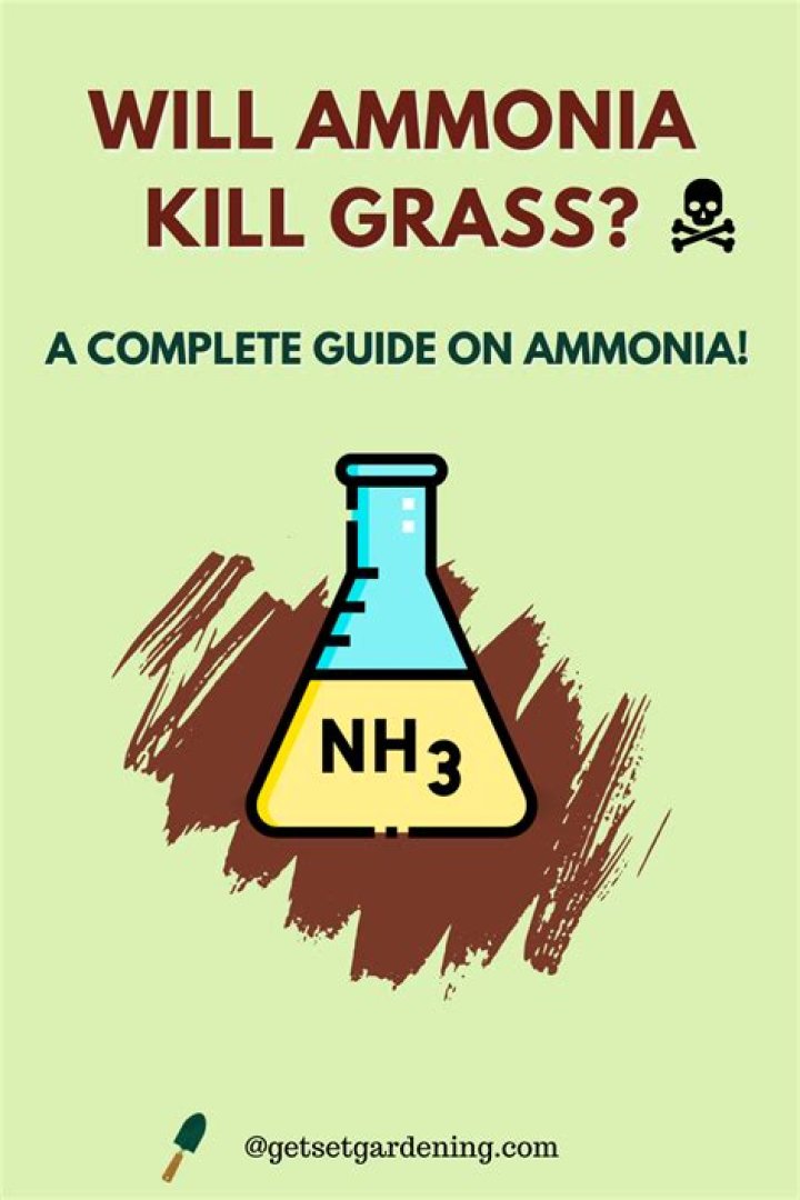 How do you kill grass with ammonia?