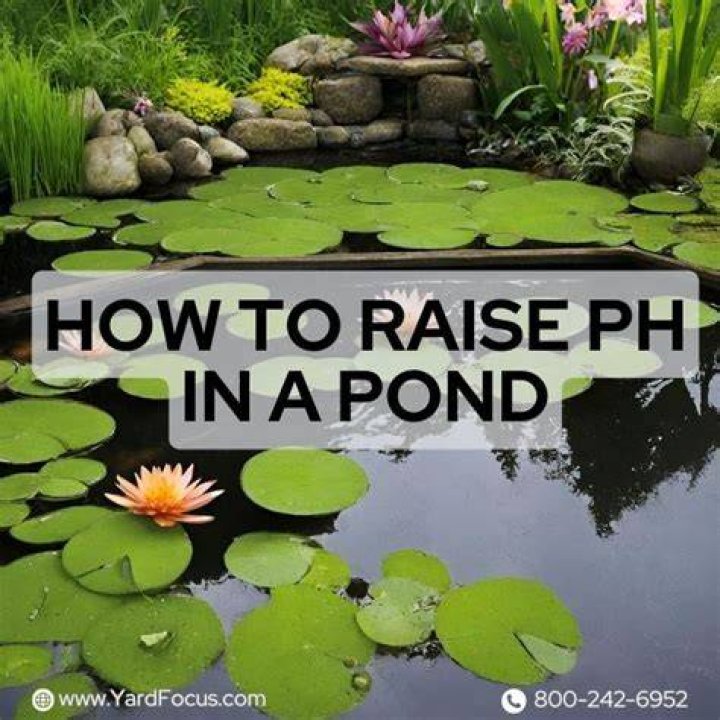 How do you raise pH in a pond?