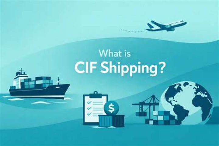 How Fast Is VIP shipping?