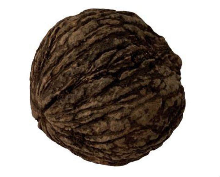 How much are black walnuts per pound?