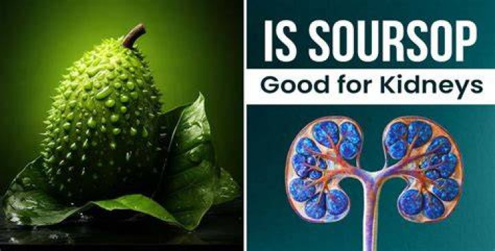 Is soursop good for kidneys?