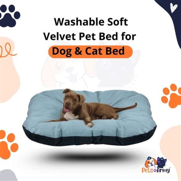 Is Velvet good for pets?