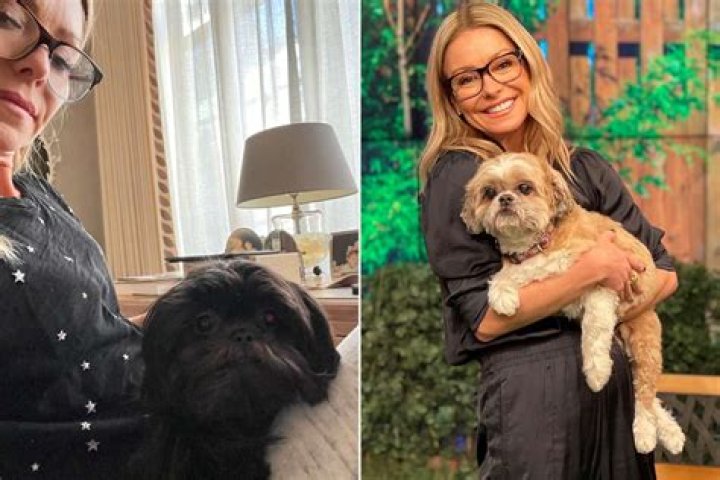 Kelly Ripa Pets