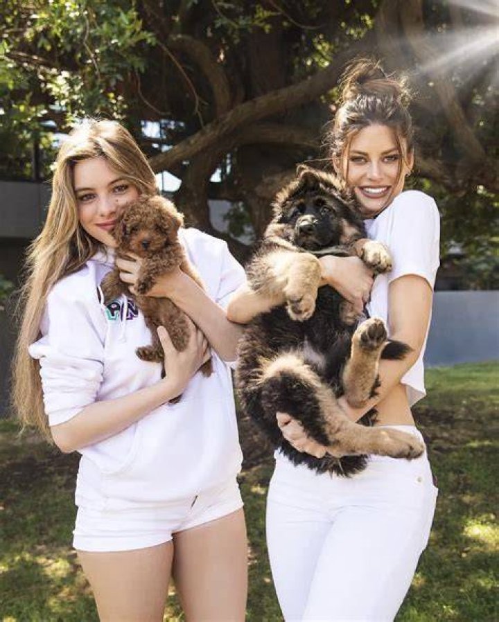 Lele Pons Pets