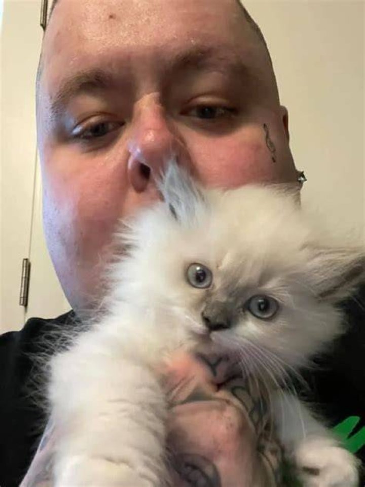 Merkules Pets