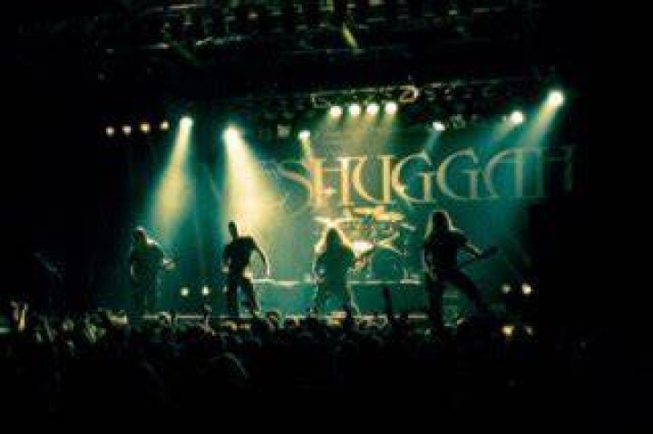 Meshuggah - Members, Ages, Trivia
