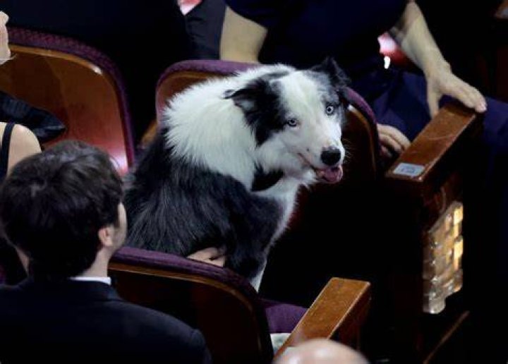 Messi playing Snoop the dog from Anatomy of a Fall movie