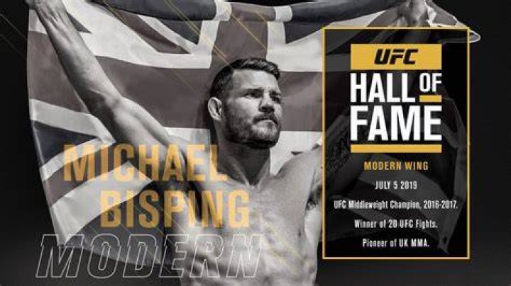 Michael Bisping's autobiography