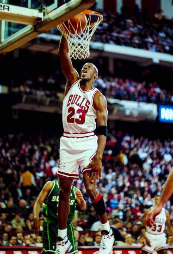 Michael Jordan's pet No Pets (Michael Jordan)