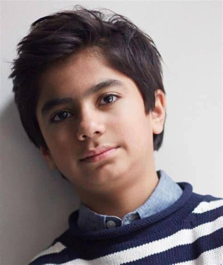 Neel Sethi Bio (Wiki) 