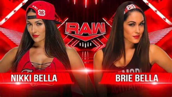 Nikki Vs Brie Bella