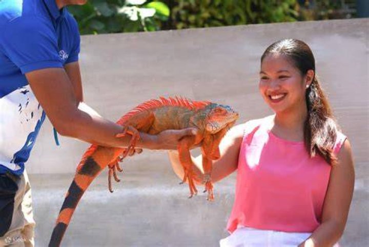Philippine Stindel Bio (Wiki) 