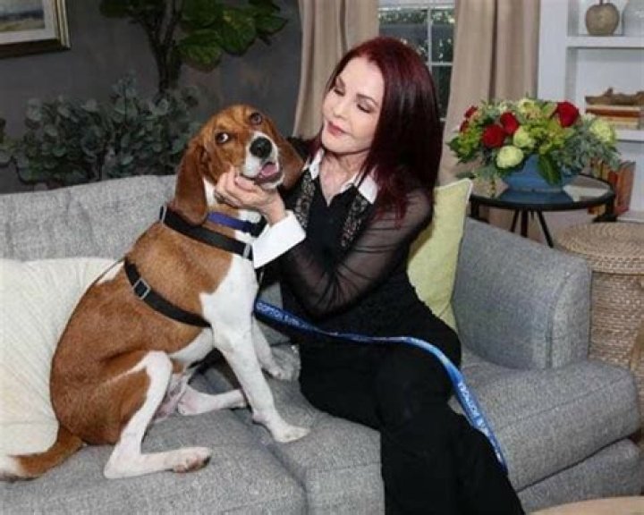 Priscilla Presley Pets