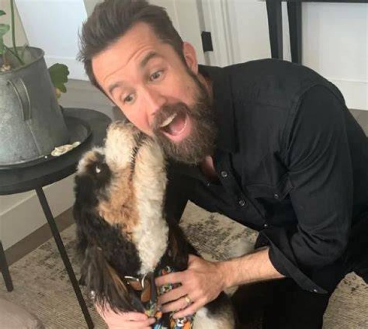 Rob McElhenney Pets