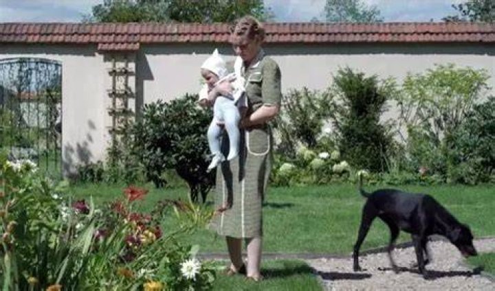 Sandra Huller Weimaraner dog Dilla from Zone of Interest movie
