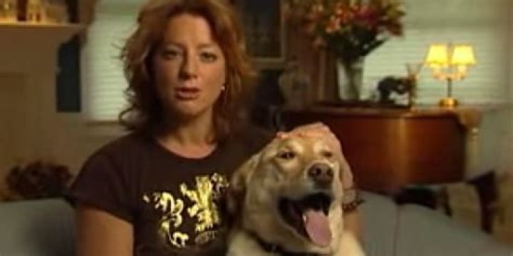 Sarah McLachlan Pets