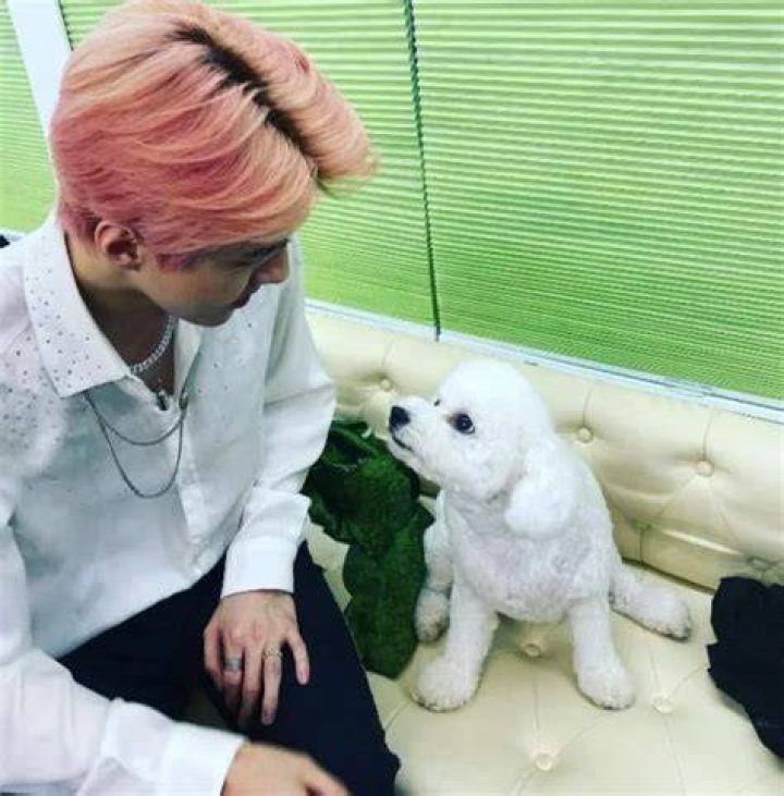 Sehun Pets