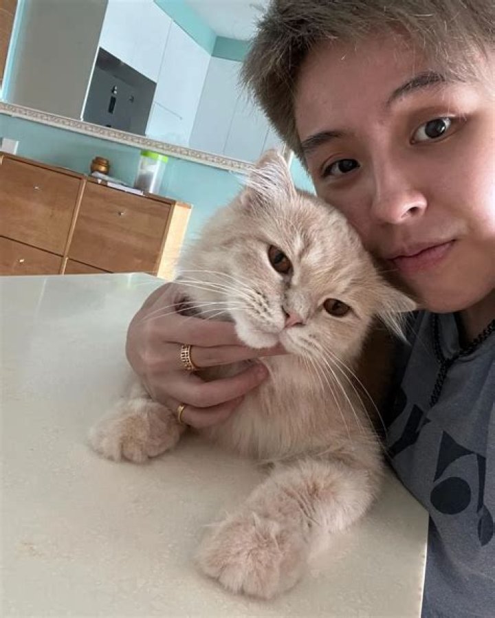 Toh Ee Wei Pets
