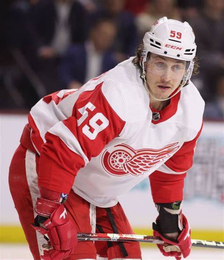 Tyler Bertuzzi Bio (Wiki) 