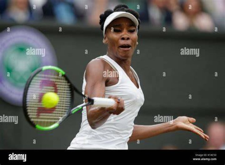 Venus Williams' pet Harry "Harold" Williams