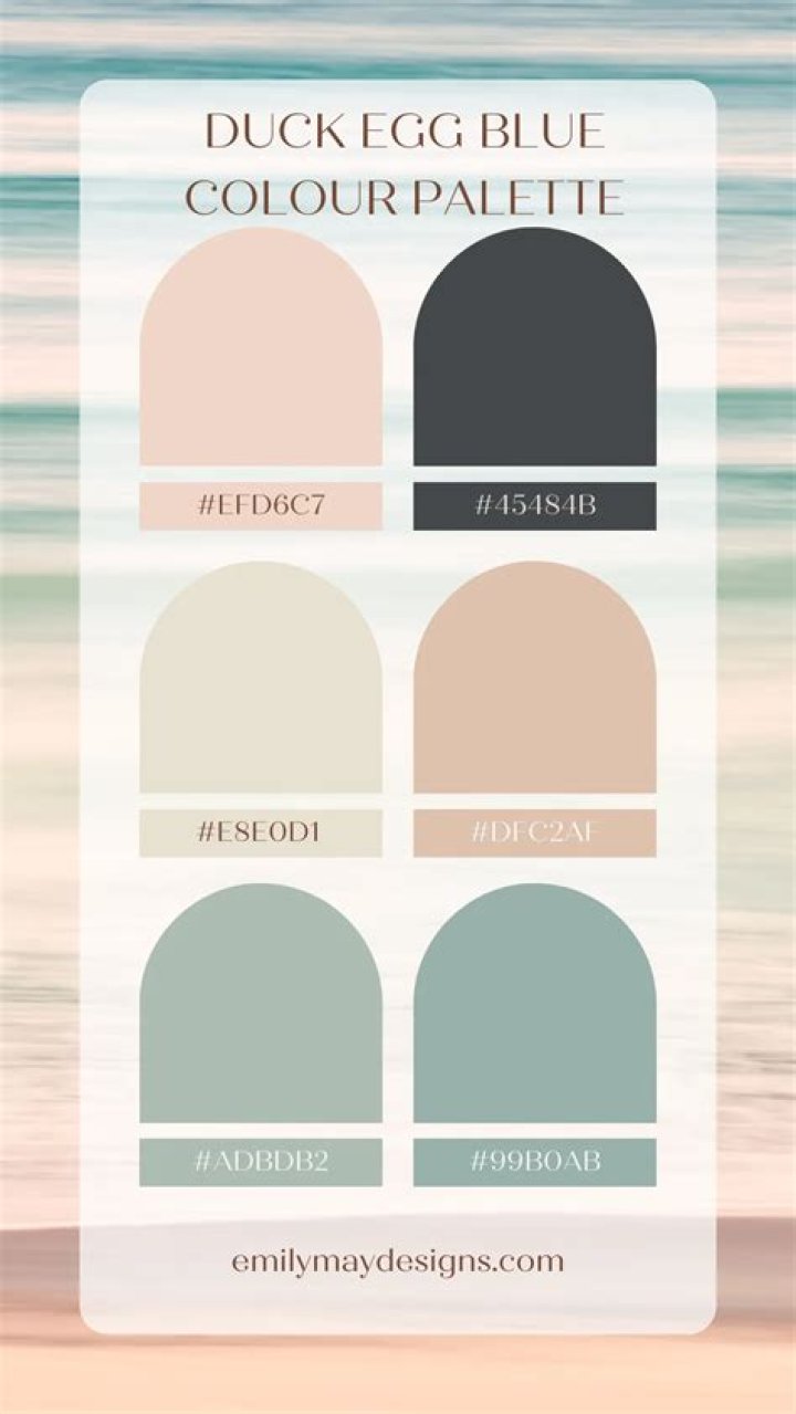 What Colour is a duck egg?
