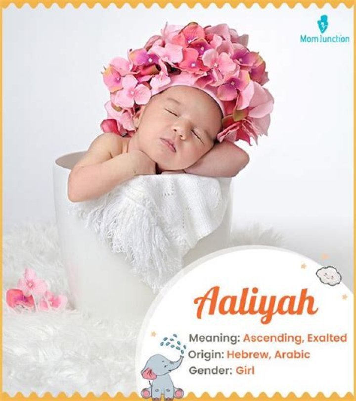 What does Aliya mean in Hebrew?