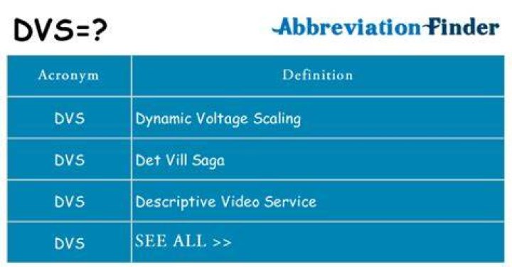 What does DVS 1001 mean?