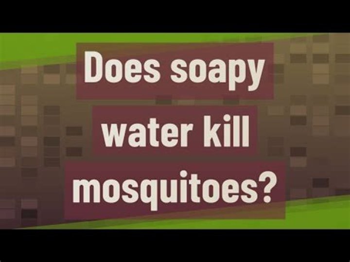 What does soapy water do to mosquitoes?