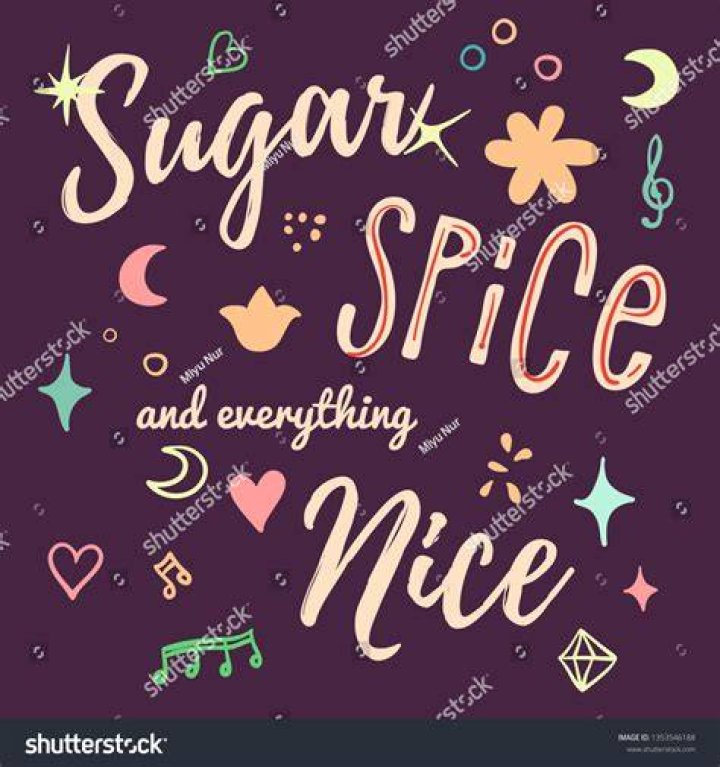 What does sugar spice and everything nice mean?