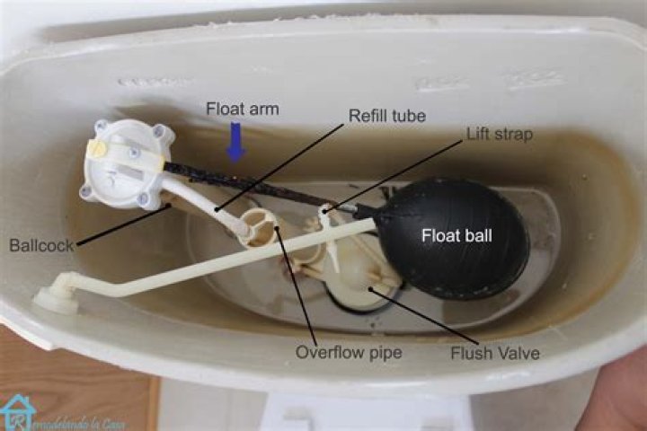 What is float arm in toilet?
