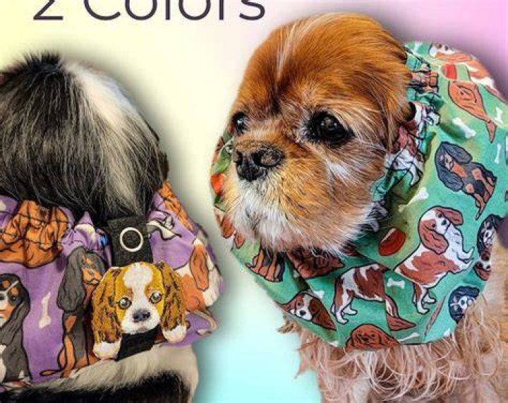 What is PET snood?